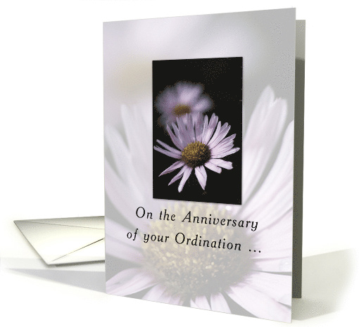 Anniversary of Ordination Religious with Lavender Aster Flower card