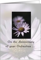 Anniversary of Ordination Religious with Lavender Aster Flower card