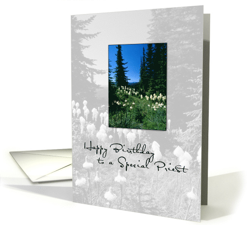 Priest Birthday Priest with Trees and Flowers card (560353)