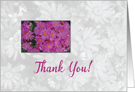 Pink Daisies Thank You Flowers card