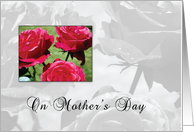 Pink Roses for Mom on Mothers Day card