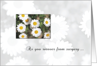 Surgery Recovery Get Well Soon Daisy Flowers card