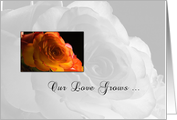 Anniversary to Spouse Love Grows with Orange Rose card