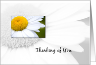 Daisy Thinking of You Makes Me Smile card