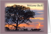 Welcome Back Tree Sunset card