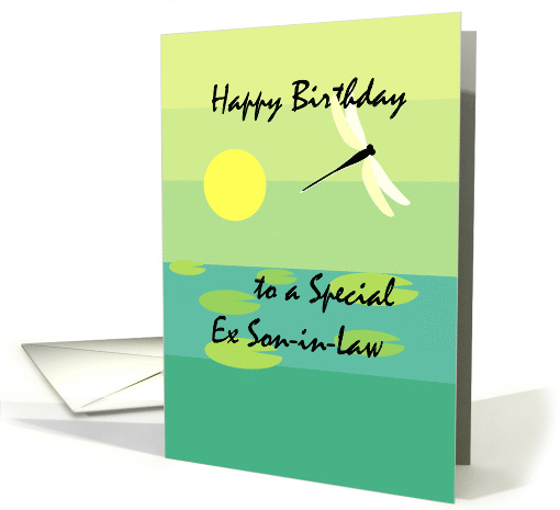Birthday Ex Son in Law Dragonfly card (574084)