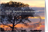 Pet Sympathy Loss of Pet with Collar Under Tree card