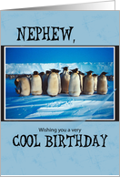 Nephew Birthday Penguins card