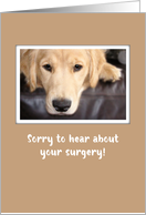 Get Well to Dog After Surgery With Golden Retriever card