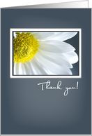Thank You Daisy From Cancer Patient card