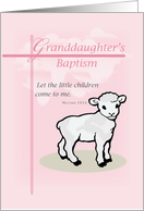 Granddaughter Baptism Pink Lamb card