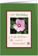 Wife 75th Birthday with Pink Flowers on Green card