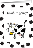 Thinking of You Cow card