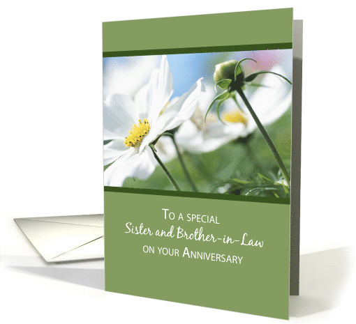 Sister and Brother in Law Anniversary with Daisies card (695169)