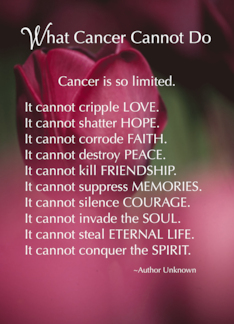 What Cancer Cannot...