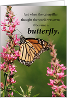Cancer Patient Get Well Butterfly and Wildflowers Support card