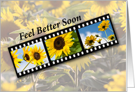 Cancer Feel Better Sunflower Filmstrip card