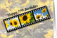 77th Birthday Sunflower Filmstrip card