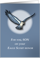 Son Eagle Scout...