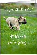 53rd Birthday Funny Puppy Running card