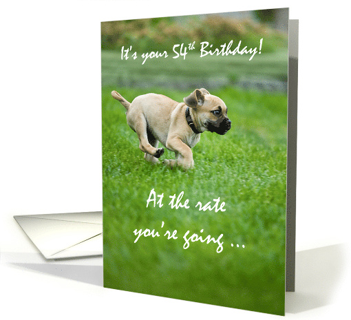 54th Birthday Funny Puppy Dog Running card (838108)