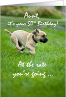 Aunt 50th Birthday Funny Puppy Dog Running card