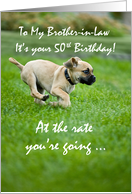Brother in Law 50th Funny Birthday Puppy Dog Running card