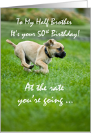 Half Brother 50th Birthday Funny Puppy Running card