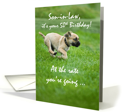 Son-in-Law 50th Birthday Funny Puppy Dog Running card (838137)