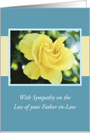 Sympathy Loss of...