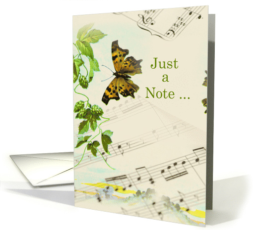 Hello Note with Butterfly on Sheet Music card (916663)