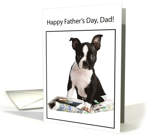 From Dog Fathers Day Boston Terrier with Newspaper card (930229)