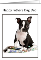 From Dog Fathers Day...