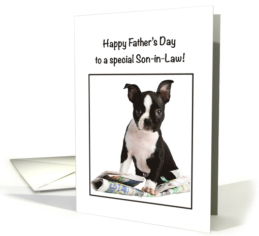 Son in Law Father's Day Funny Boston Terrier with Newspaper card