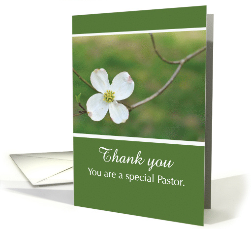 Pastor Thank You Dogwood Blossom Flower Green White card (930247)