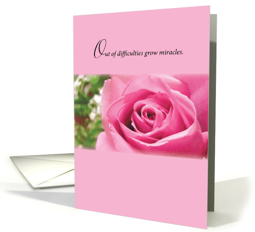 Miracle Rose Religious Thinking of You with Prayer card (970811)