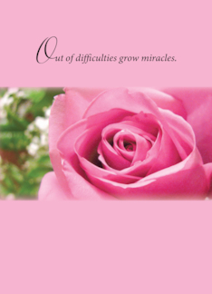 Miracle Rose...