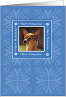 Happy Hanukkah Chihuahua Blue with Snowflakes Chanukah card