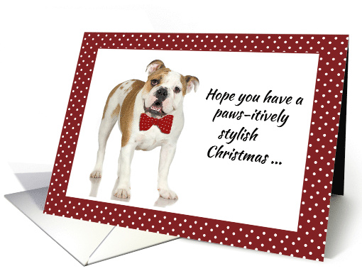 Bull Dog Humorous Bow Tie Christmas with Red and White Dots card