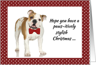 Bull Dog Humorous Bow Tie Christmas with Red and White Dots card