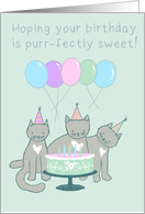 Hoping your birthday is purr-fectly sweet! card