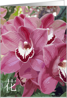 Orchids card