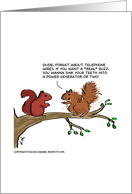 Squirrel Buzz card