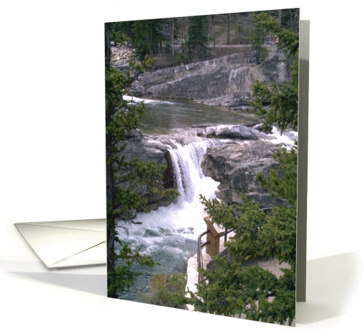 Best Wishes card (148966)