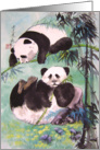 encouragement, born free, panda bears,i llustrations card