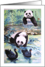 friends on holidays, any occasion card, two pandas play with black swans card