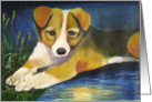 moon lake card