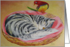 red bird card