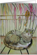 day dreaming card