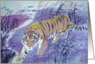 tiger crossing the river card